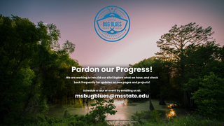 Thumbnail of mississippibugblues.org