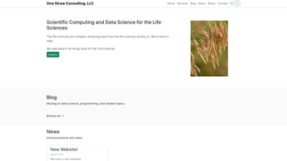Thumbnail of onestrawconsulting.com