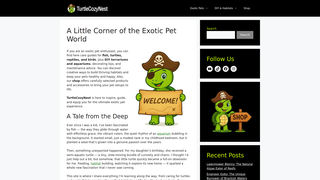 Thumbnail of turtlecozynest.com