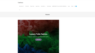 Thumbnail of tulleparis.com