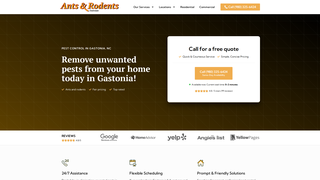 Thumbnail of antsrodentsgastonia.com