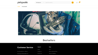 Thumbnail of pickpaddc.com