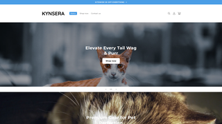 Thumbnail of trykynsera.com
