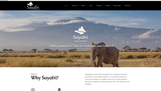 Thumbnail of sayafritour.com