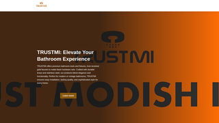 Thumbnail of thetrustmi.com