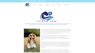 Thumbnail of oceangemscavaliers.com