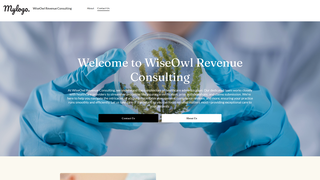 Thumbnail of wiseowlrc.com