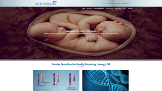 Thumbnail of selectababy.com