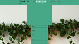 Screenshot of youngivyco.com