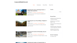 Thumbnail of connectedmindsnetwork.com