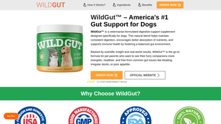 Thumbnail of us-wiildgut.com