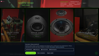 Thumbnail of niewinnedzwieki.com