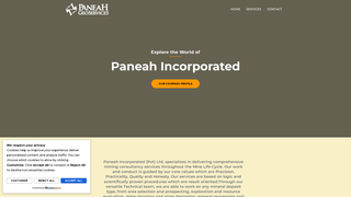 Thumbnail of paneahinc.com