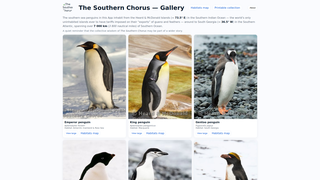 Thumbnail of penguinwisdom.com