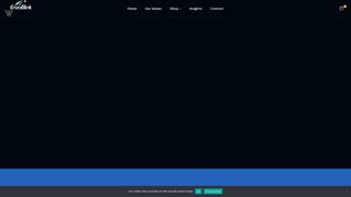 Thumbnail of enzoblink.com