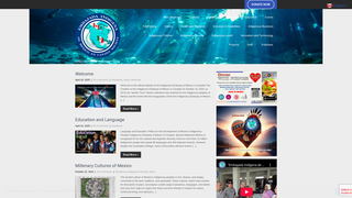 Thumbnail of eimcs.org