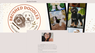 Thumbnail of brusheddoodles.com