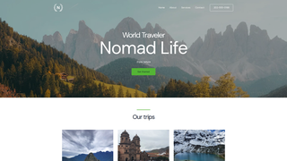 Thumbnail of travelskys.com