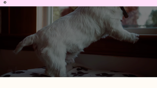Thumbnail of walksandwhiskersbytracy.com