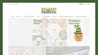 Thumbnail of ecoeggsa.com