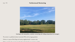 Thumbnail of nethermeadmentoring.com