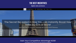 Thumbnail of thebestincentives.com