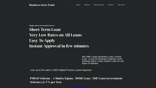 Thumbnail of businessgrowfund.com
