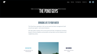 Thumbnail of the-pondguys.com
