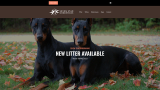 Thumbnail of sevenstardobermans.com