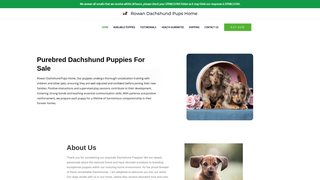 Thumbnail of rowandachshundpupshome.com