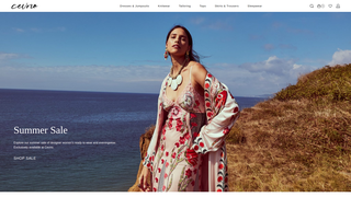Thumbnail of cevno.com