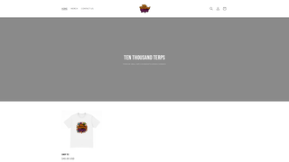 Thumbnail of 10kterps.com