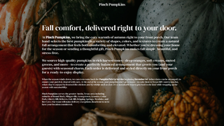 Thumbnail of pinchpumpkins.com