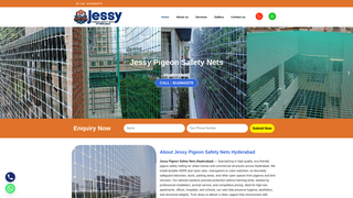 Thumbnail of jessypigeonsafetynets.com