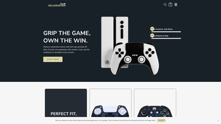 Thumbnail of sellerevers.com