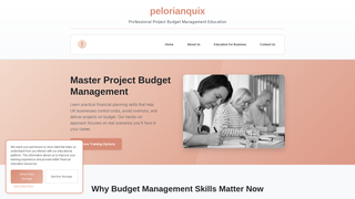 Thumbnail of pelorianquix.com