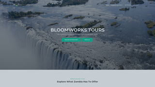 Thumbnail of bloomworkszambia.com