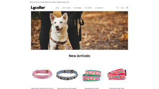Thumbnail of lgcollar.com