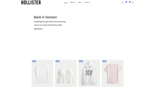 Thumbnail of hoverslico.com