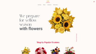 Thumbnail of florezziaexport.com