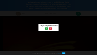 Thumbnail of volleyballcoachplanner.com