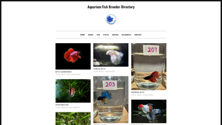 Thumbnail of fishnetshop.com