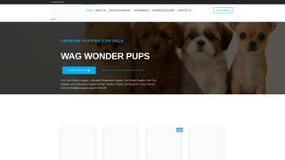 Thumbnail of wagwonderpup.com