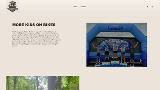 Thumbnail of transylvaniatimberrattlers.com