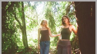 Thumbnail of thedragonflyroom.com