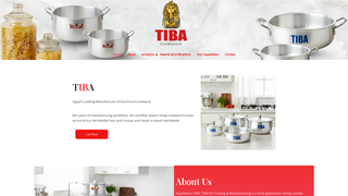 Thumbnail of tibaalaidy.com