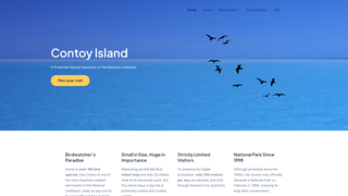 Thumbnail of contoy-island.com
