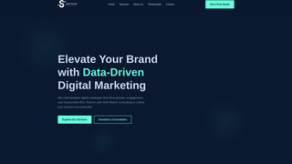Thumbnail of sethwalshconsulting.com
