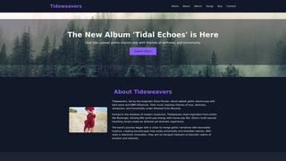 Thumbnail of tideweavers.com