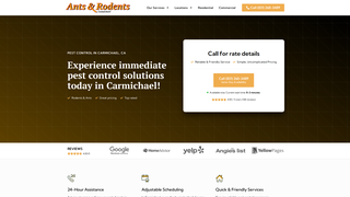 Thumbnail of antsrodentscarmichael.com